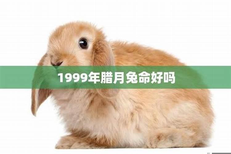 1999年腊月初六运势