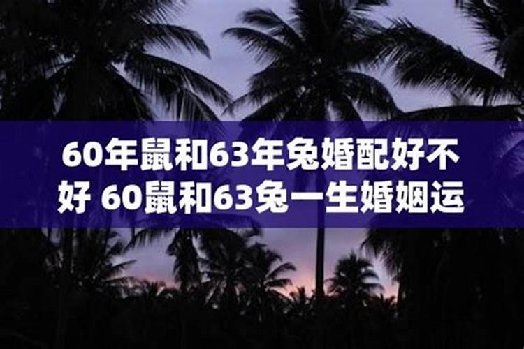 60年属与84年属合婚吗