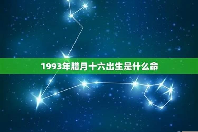 93年腊月出生属什么