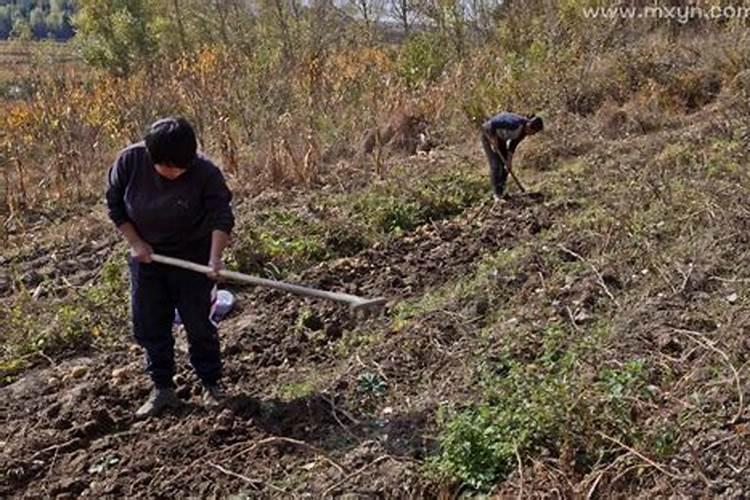 梦见去荒野草地是怎么了