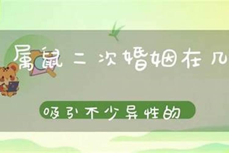 84年属鼠男一生婚姻状况