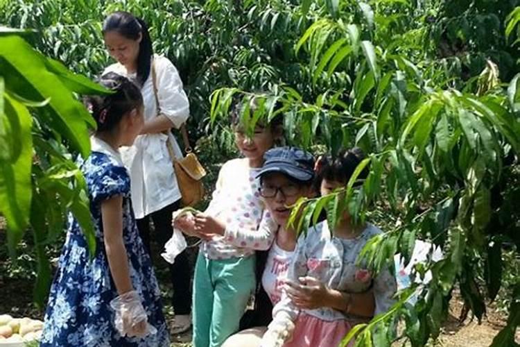 青岛祭祀用品批发市场