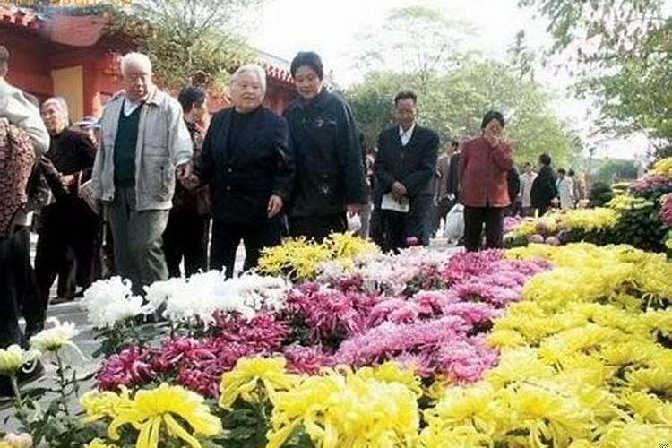 重阳节的习俗有登高赏菊还有什么