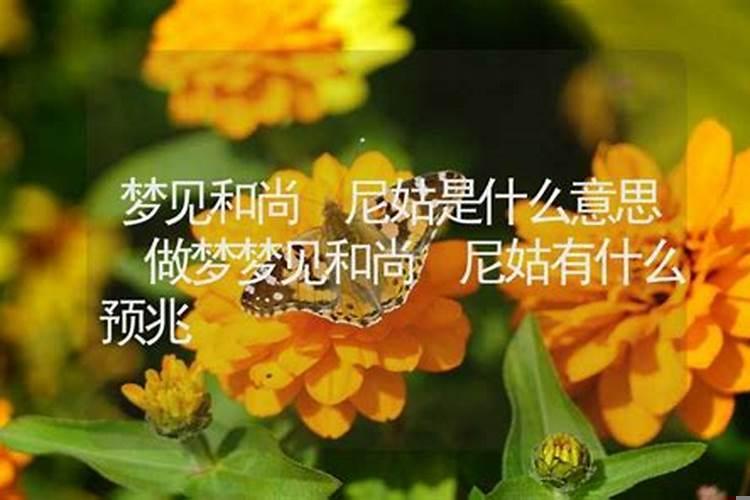 做梦梦见尼姑什么意思