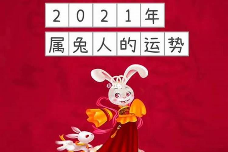 属兔今年考试运程