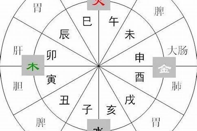 丑时是属于五行属什么