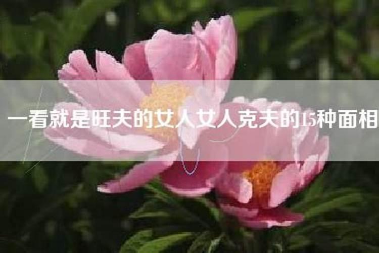 旺夫的女人命理