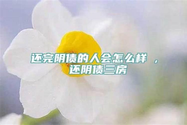 梦见手机屏碎了什么意思