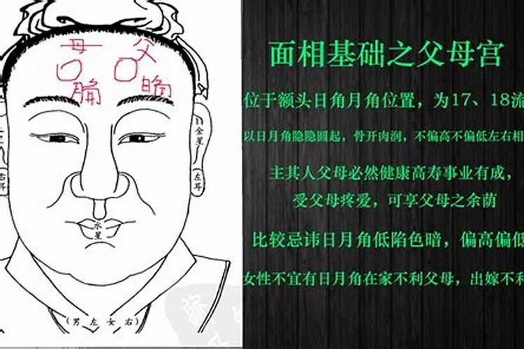 什么叫父母宫