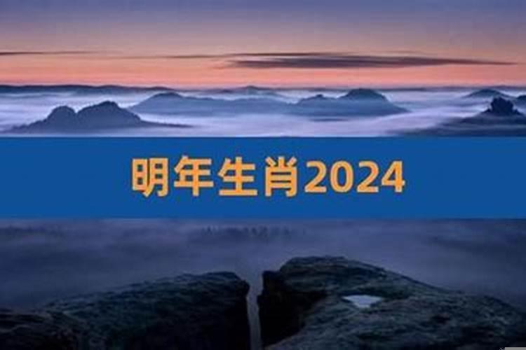 2024什么年生肖年份