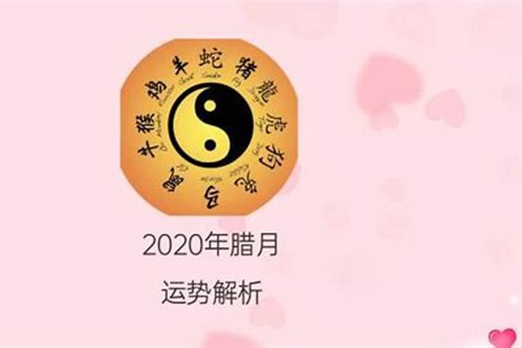 2022犯太岁该怎么办