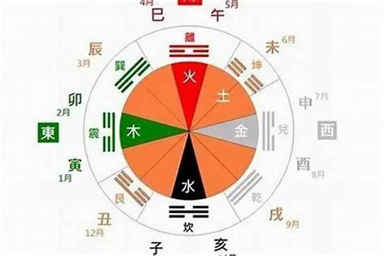 怎么查属相金木水火土