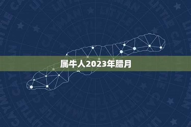 属牛的人腊月运势2023