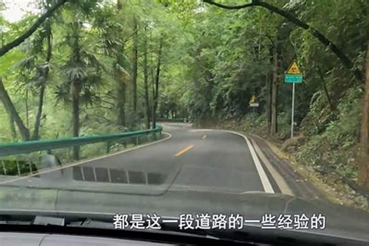 梦见和姐姐开车走山路