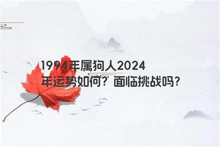 1994年今年的感情运势