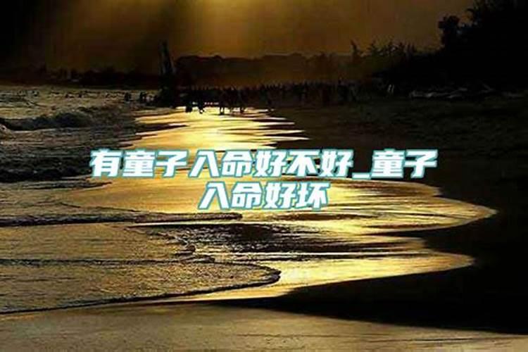 属蛇女在2023年高考运势如何