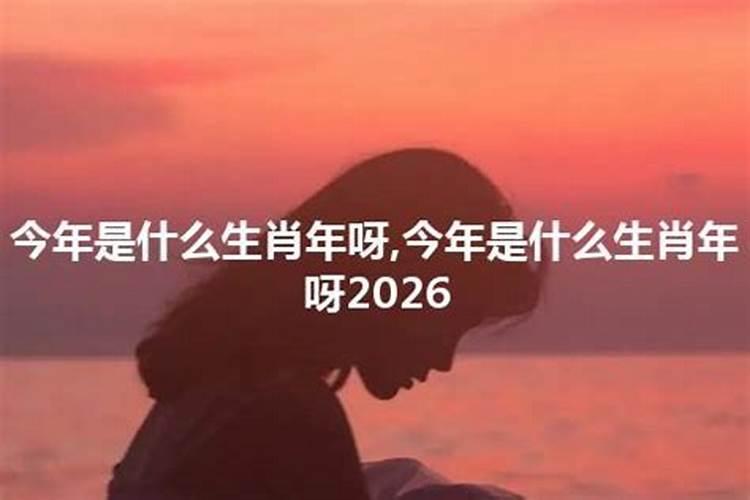 今年是什么生肖年呀2024