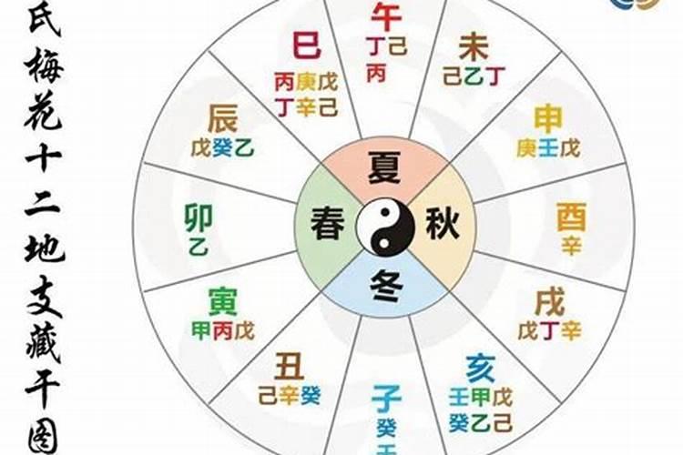 八字十神和藏干支神