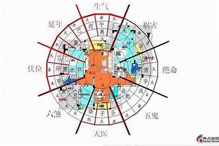 5楼风水与属相