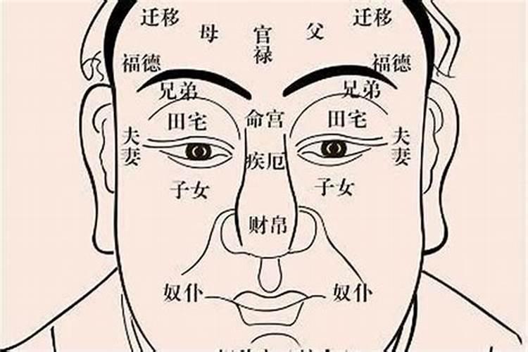 身份证可以看生辰八字吗