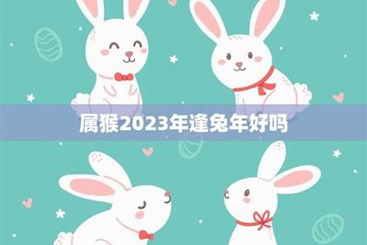 2023年兔年是什么命运