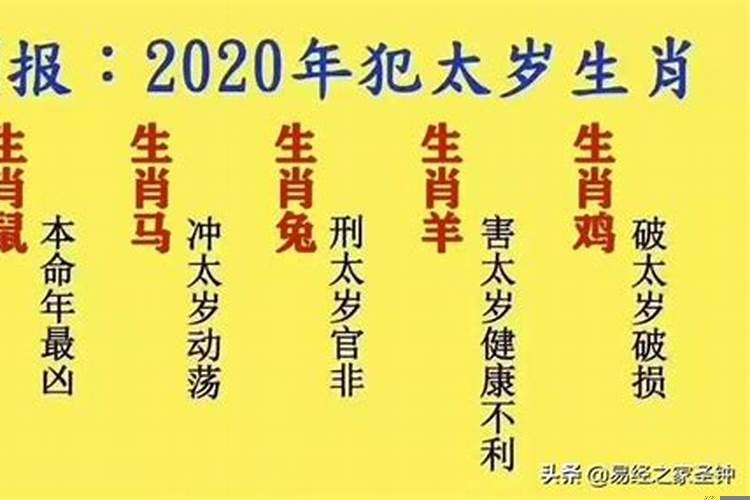 1946年属狗的今年多大