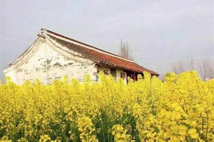 梦见老家房子漏雨地基都出来了