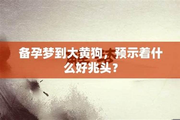 备孕梦见狗预示什么