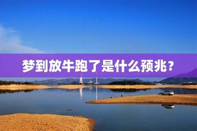 梦见放牛跑到手沟里我去追被困在