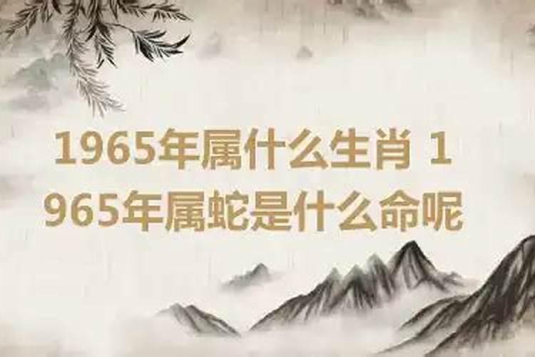 1965年属什么生肖