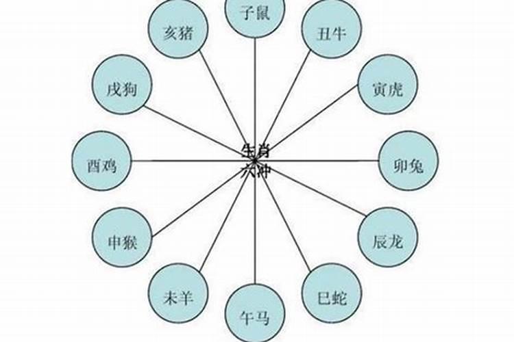 属相相生相克怎么办