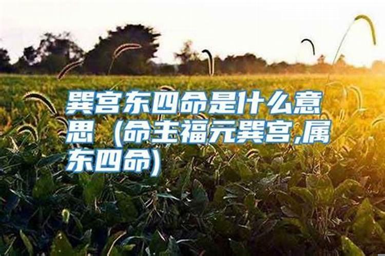 巽东四命是什么意思