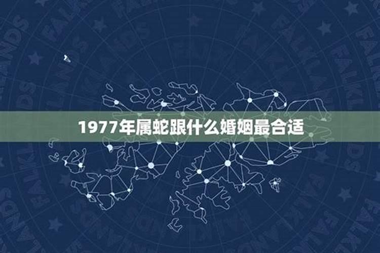 1977年属蛇的男人最佳配偶