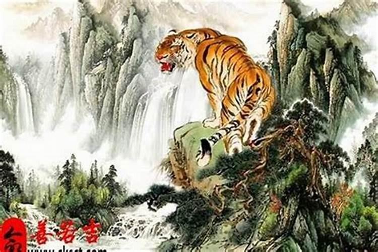 猪年属虎的破太岁怎么解