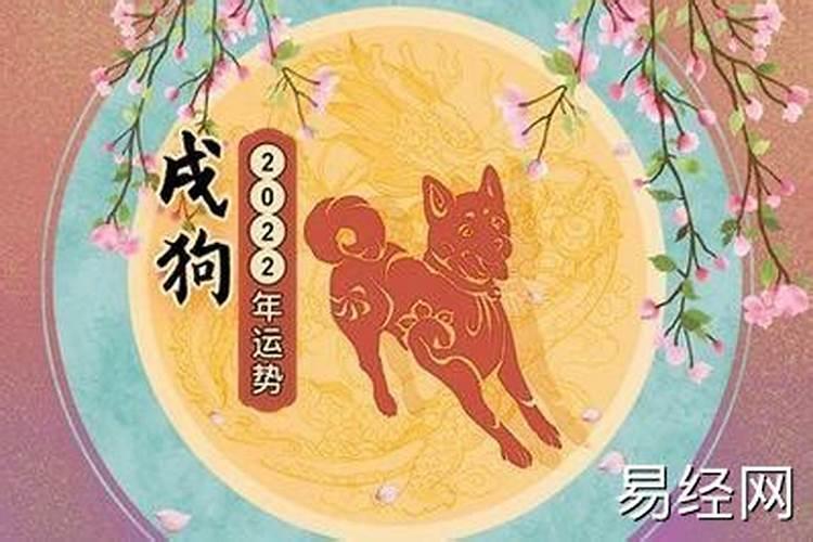 属狗的今年农历2月运程