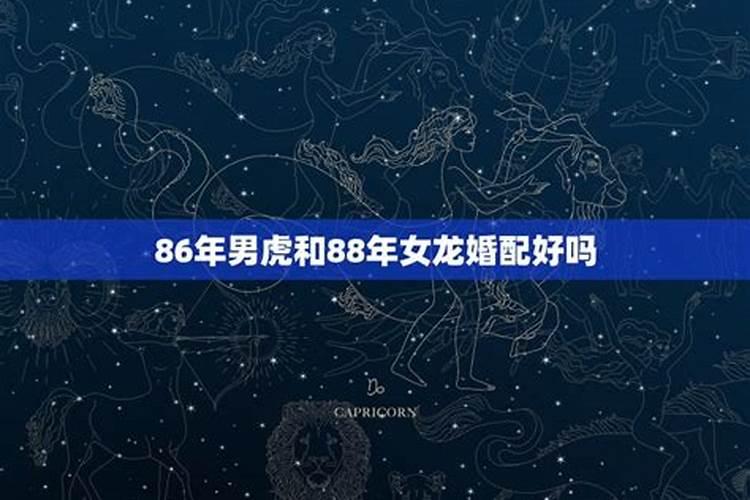 86年虎跟88的龙合婚吗