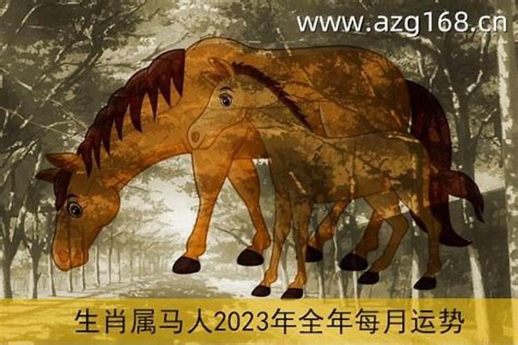 生肖马2023年运势及运程