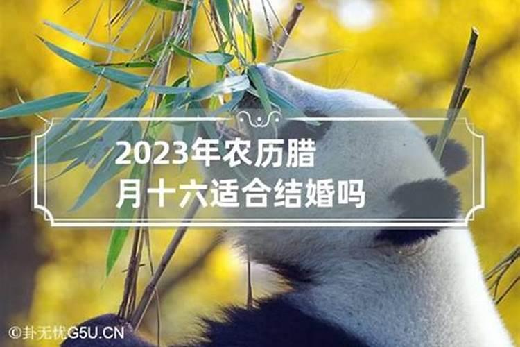 2023年农历腊月22日