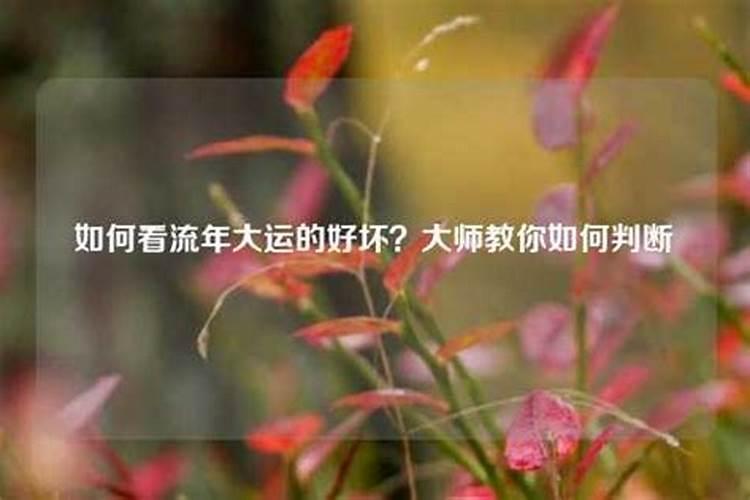 梦到姐姐身上生疮