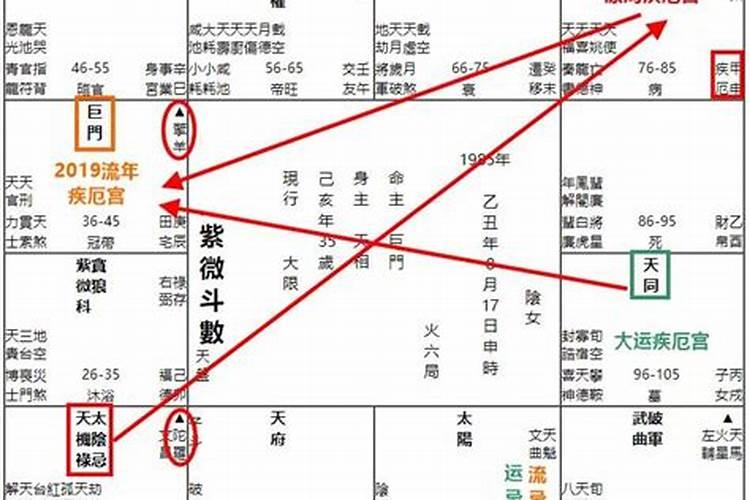 紫微斗数官禄宫代表什么