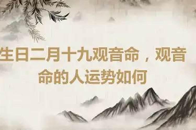 属兔的人在今年的下半年的运程