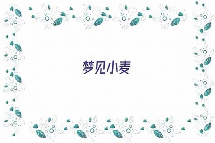 梦见小麦粒是什么意思