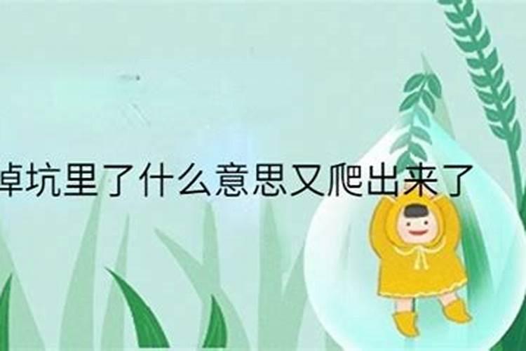 梦到朋友掉河里了又爬出来