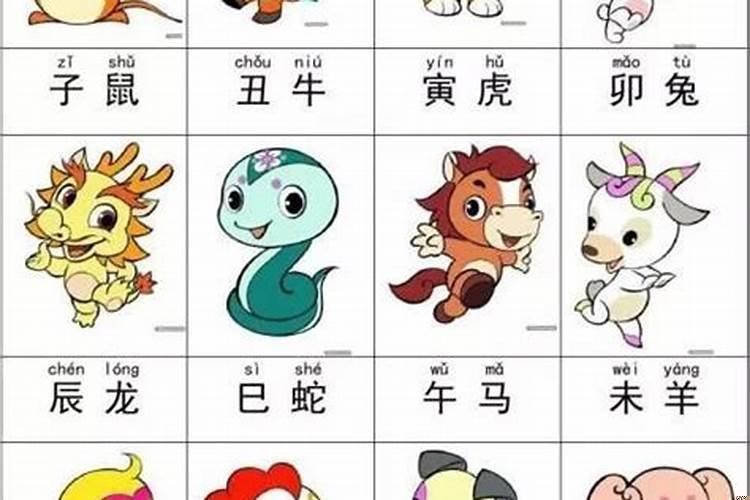 大相不合的属相八字合