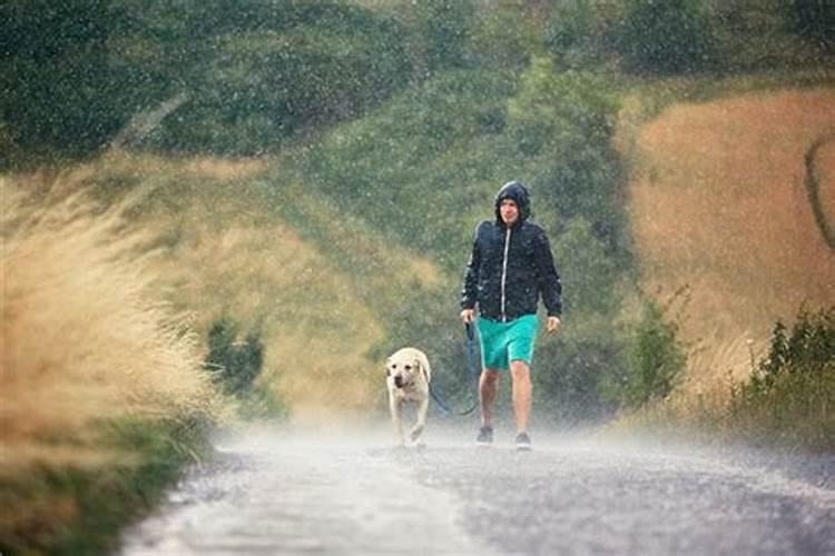 梦见朋友站在雨中什么意思