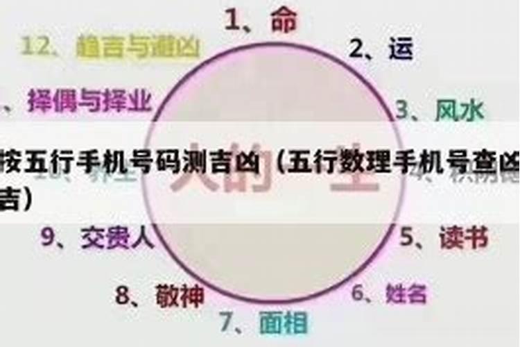 日柱是主什么意思