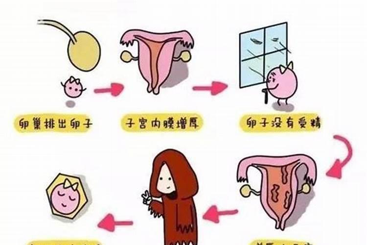 绝经的女人梦到来月经是怎么回事