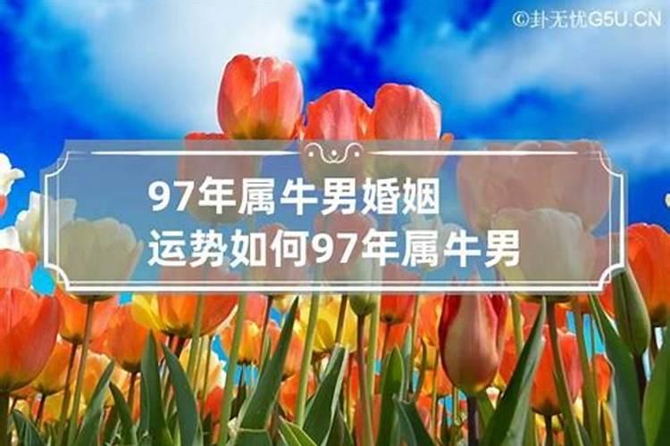 77年男人婚姻运势如何