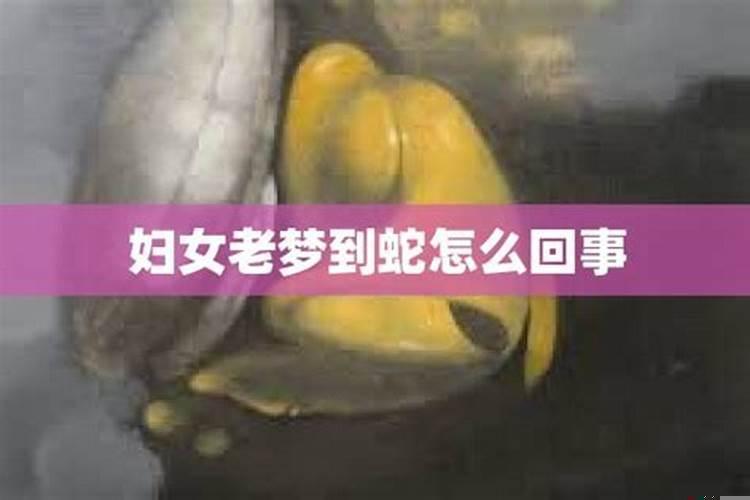 老梦见蛇是怎么回事儿