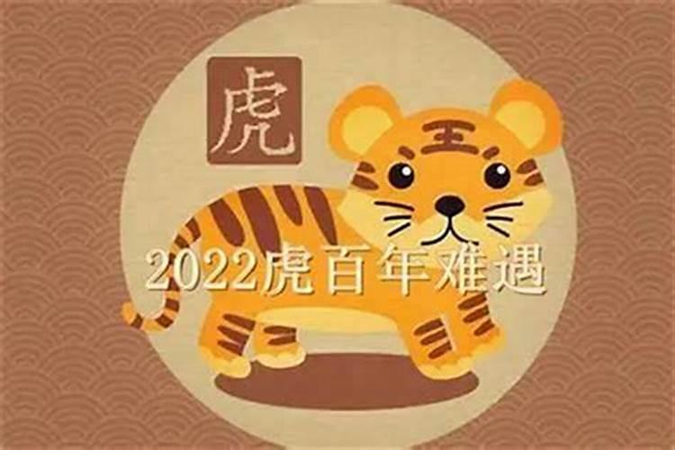 属牛2022年生虎宝宝好不好